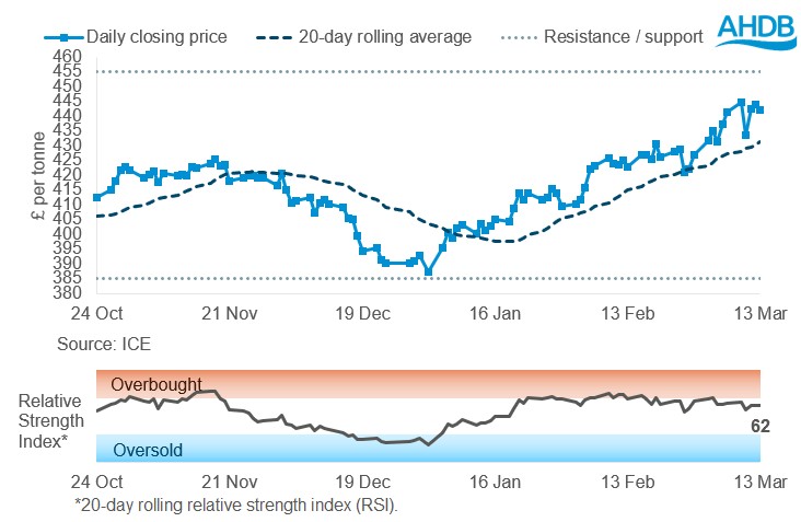Line graph of Paris rapeseed futures May-26 prices in £/t over the past six months.